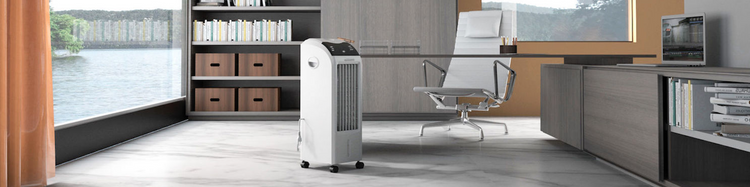 Air Coolers